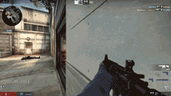 图片: 10.gif
