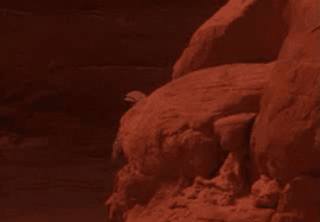 图片: 15.gif