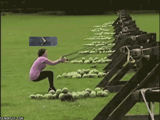 图片: 14.gif