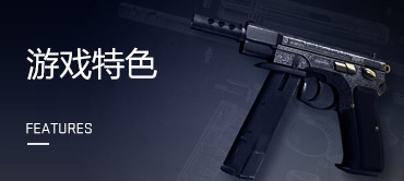 CSGO特色展示