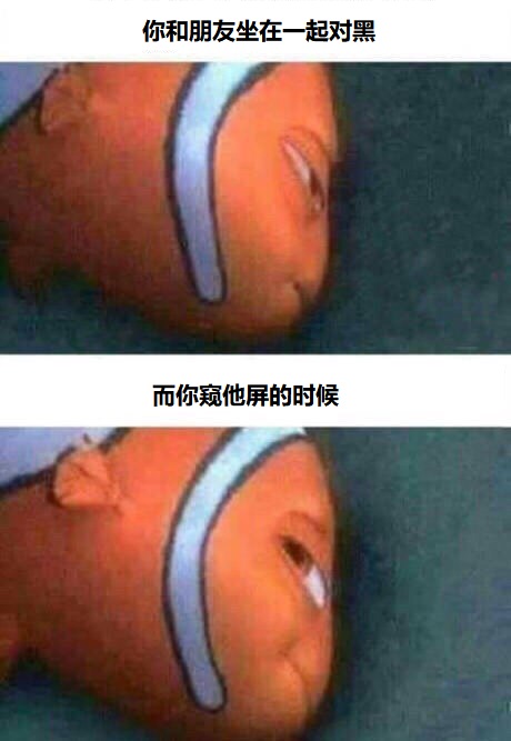 图片: 10.jpg